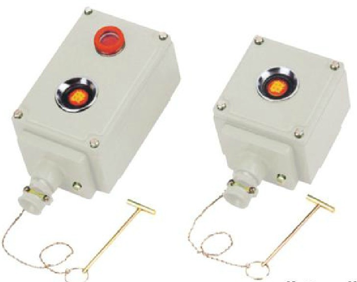 防爆消防按钮BLN-1N BLN-2N