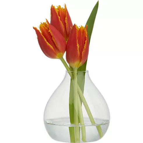 Стеклянная прозрачная аромалампа/ароматерапия? Hmm original: Glass transparent aromatherapy, custom-made, European style, simple and elegant design