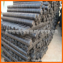 电镀锌六角网，热镀锌六角网养鸡鸭网，galvanized chicken mesh