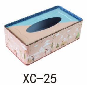 Tinplate Metallic materials Paint Tissue Gift box/Rectangular Tissue box 25