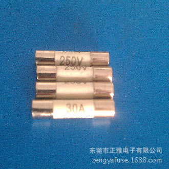 供应保险丝5x20陶瓷保险丝10a 插件认证齐全 陶瓷保险管 保险丝