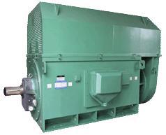 ˮYKS7102-6 2500KW 6KV 990R첽