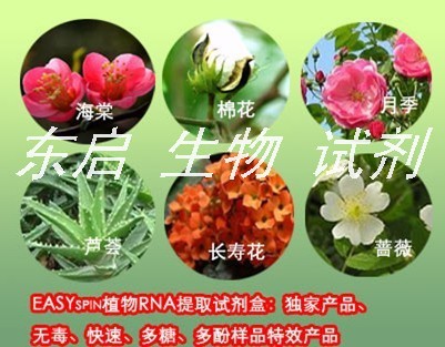 媲美Qiagen-DNA Marker II 试剂盒  250μl（50次）精准高纯度