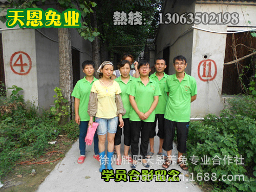 獭兔价格 养殖 种兔 致富经獭兔养殖|ru