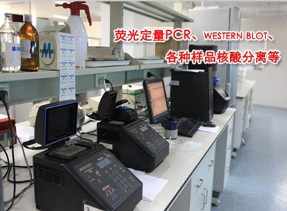 植物RNA快速提取试剂盒 20次高效科研