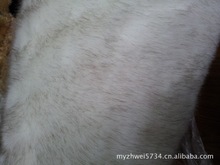 �S��ֱ�N��ɫ �߿���  Ⱦë�� �Lë�q ����ë  ��ëƤ