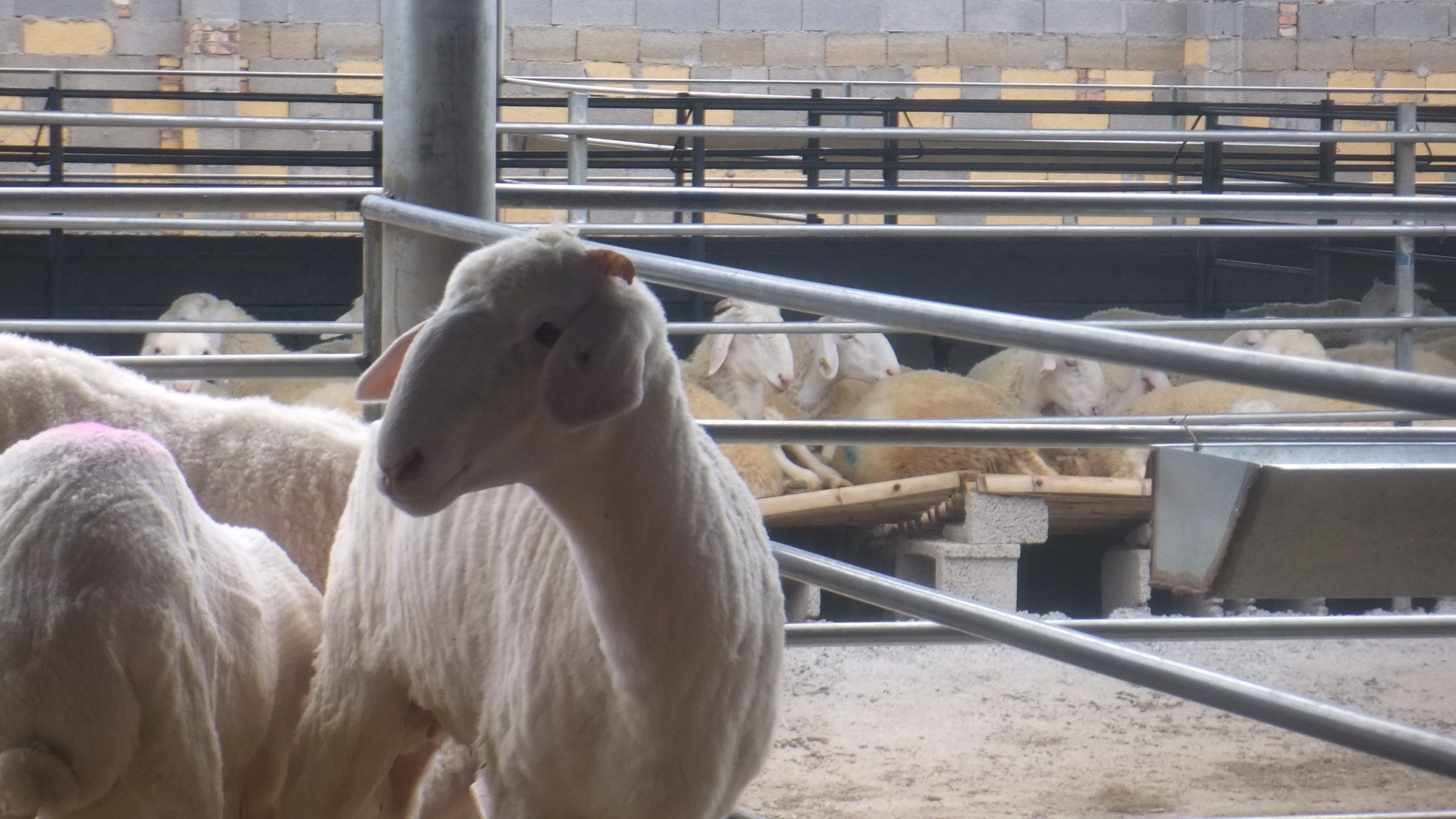 复件 (33) 照片0034 069