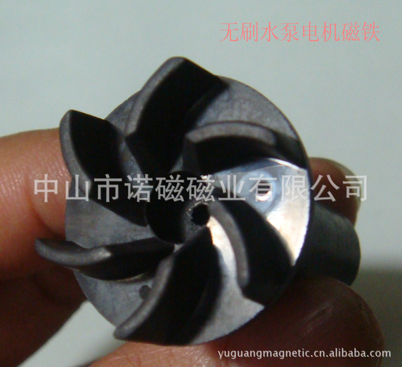 水泵电机塑磁转子 无刷电机转子磁铁 塑料磁 塑磁 注塑磁铁