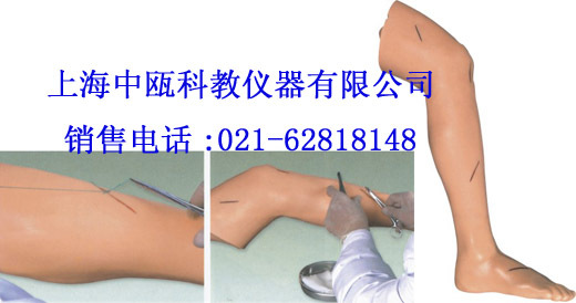 诊断模型|LV2型高级外科缝合腿肢模型|医学模型实验室装备设施