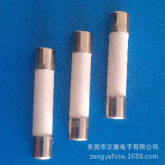 厂家批发 玻璃管保险丝平头管状双帽玻璃管快慢断电流保险丝