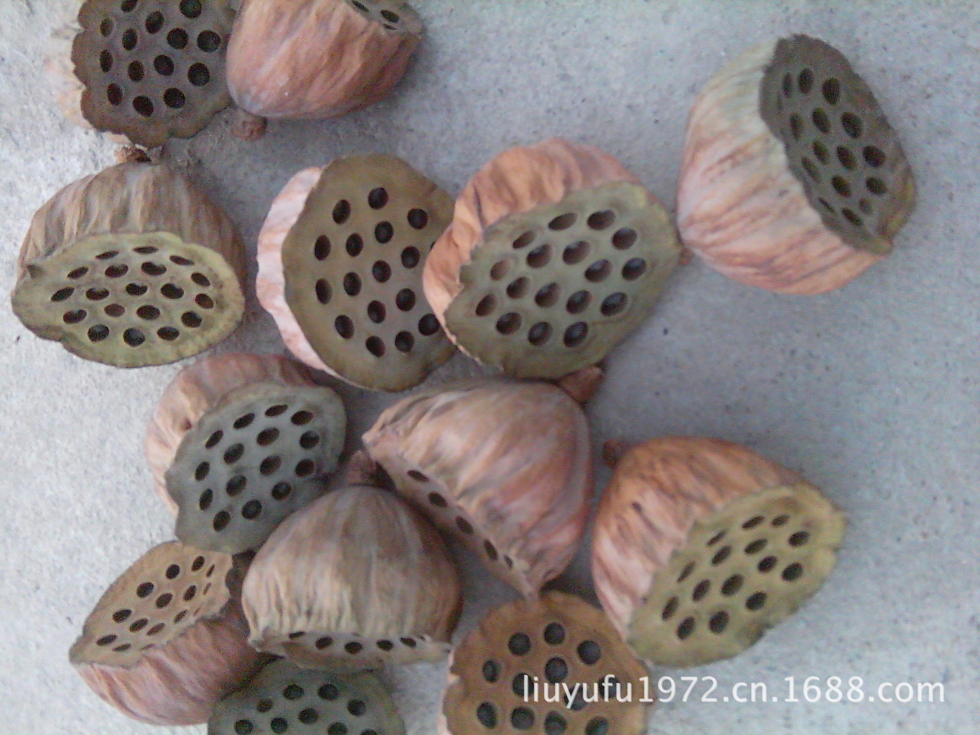 贵州民间孝歌_贵州民间孝歌供应商_贵州民间