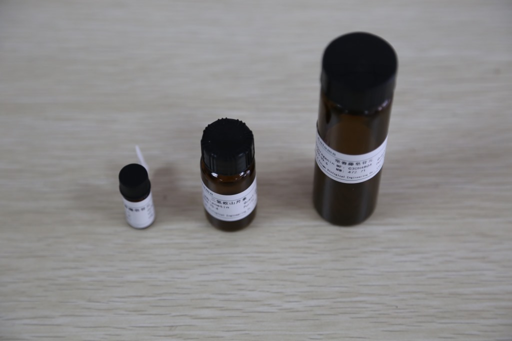 天然大豆苷元 486-66-8 厂家报价 Daidzein