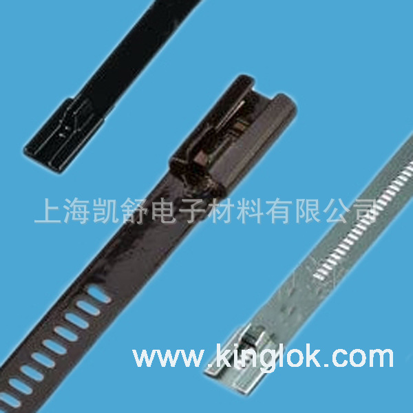 专业现货供应阶梯型多重锁紧式不锈钢喷塑扎带