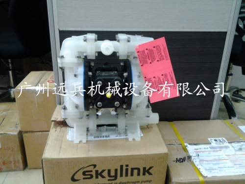 供用美國(guó)SKYLINK斯凱力塑料泵PS15