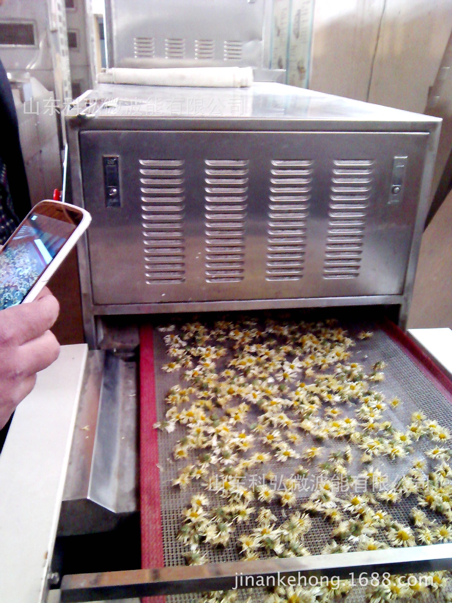 安徽微波胎菊烘干杀青设备