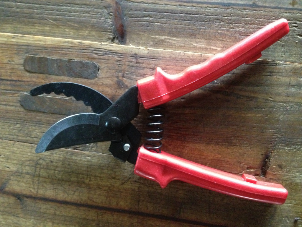 花枝剪 整枝剪 园林剪刀  俄式整枝剪 修枝剪批发