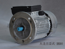 YY6314\D늄әC늙C0.12kw1400rmp㹦