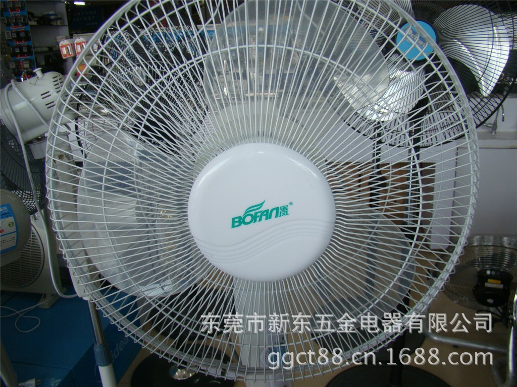 DSC01367