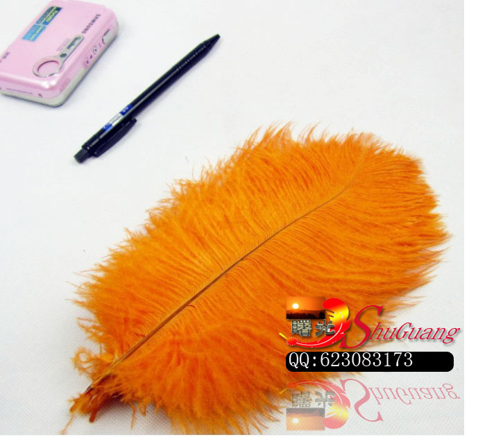 鸵鸟毛 45-50公分的 不等尺寸 颜色自选 用于舞台，服装，详情图8