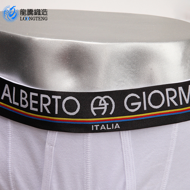 内衣裤松紧带生产厂家 印花锦纶涤纶收紧缎带 电脑提花高弹松紧带