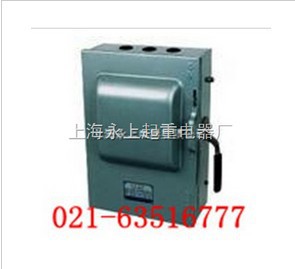 HH3-100/3负荷铁壳开关