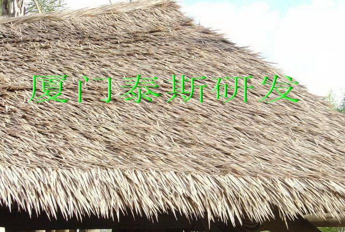 Тас Сиамен нанометрический полимерный искусственный одобрgrass?