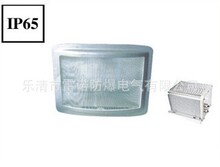 NSC9720防眩应急通路灯 应急灯具