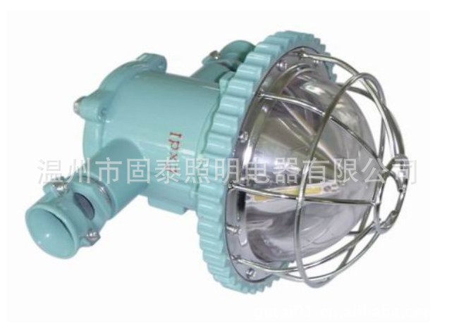 锥形巷道灯DGS12-127L 防爆巷道灯 矿用巷道防爆灯 LED防爆灯