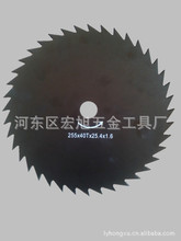 ���p�d���Ƭ ���@����� 10��40�X�i䓵�Ƭ ��Ƭ����C��Ƭ