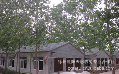 供应兔饲料 獭兔兔饲料价格|ru