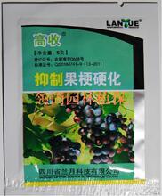 �Ĵ����� ����ר�� ���� ���ƹ���Ӳ���� 5��/��