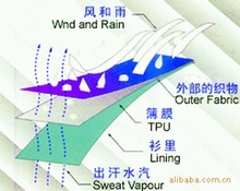 PTFE ˮ͸  