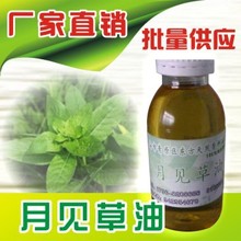 �|����Ȼ�������្�S������Ҋ���� �S�ҹ��� ����ă�