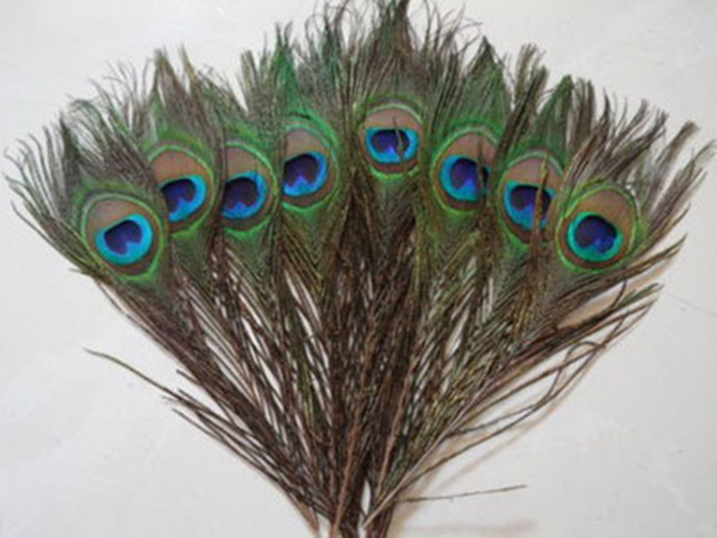 Купить Павлина В Ростовской Области На Авито