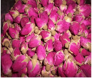 u=4248337076,3923300415&fm=23&