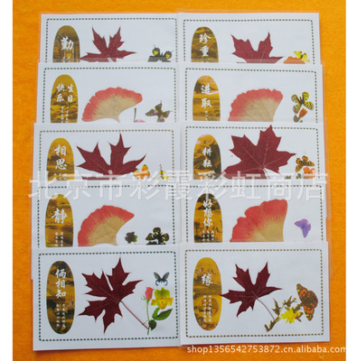 半手工制作真枫叶标本贺卡书签工艺品赠送可加工定制量大加印LOGO|ru