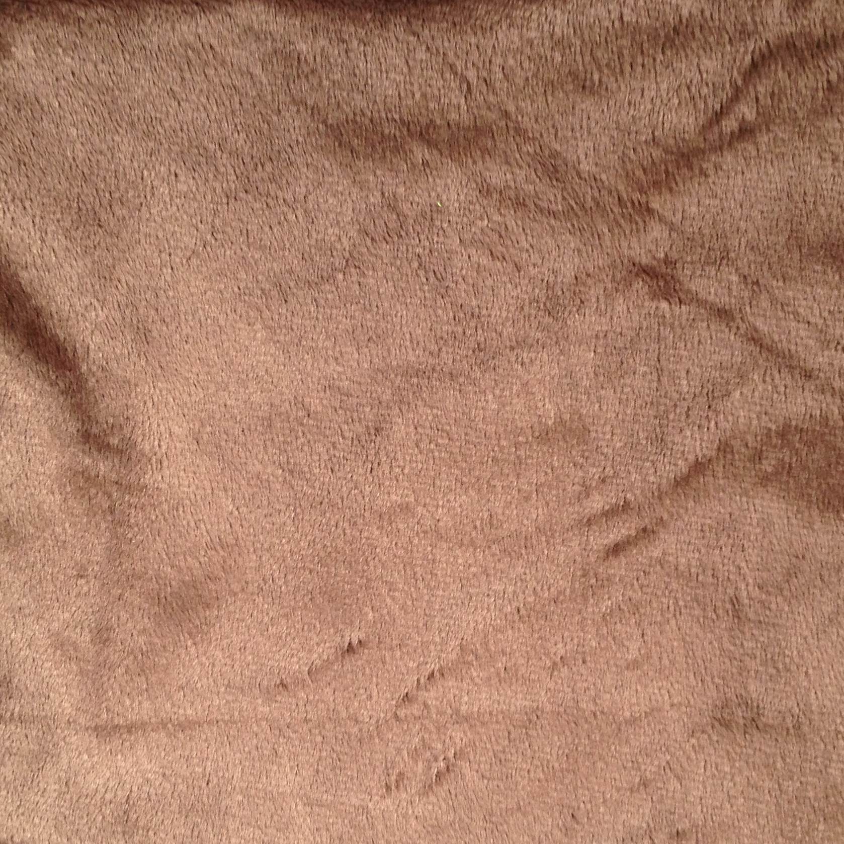 厂家供应 复合超柔短毛绒 全涤真超柔绒布 圈绒拉毛布