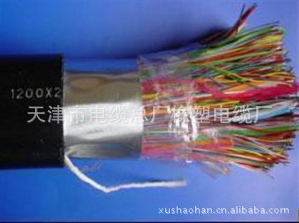 铠装通信电缆ZR-HYAP23