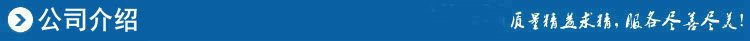 公司介绍