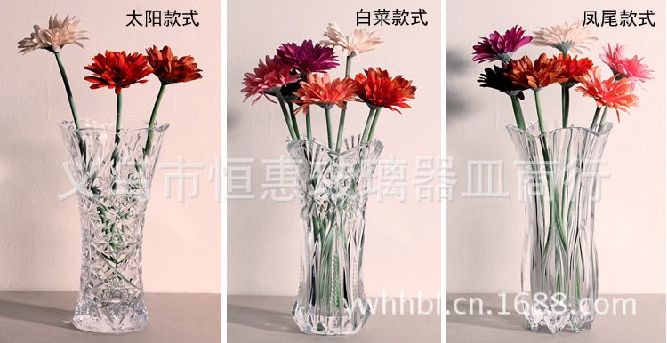 白菜凤尾太阳花