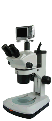 XTL-BM-8TS连续变倍体视显微镜 |ms