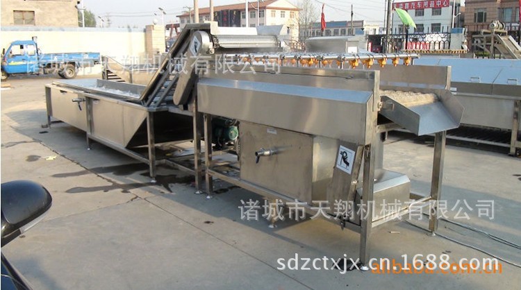 天翔供应高效率苹果清洗机 清洗设备 水果蔬菜清洗机 厂家供应