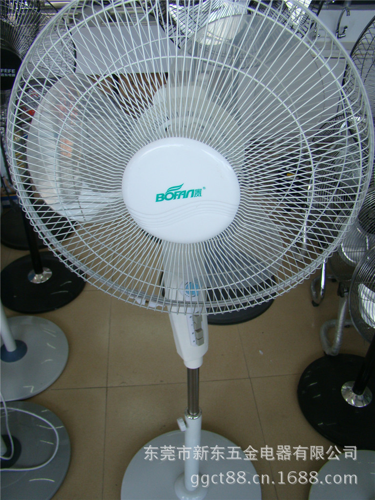 DSC01360