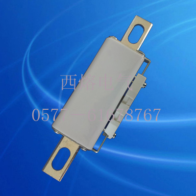 供应RSM RSG 170E等快速熔断器