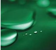 供应改性有机硅聚合物乳液S8861