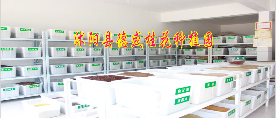 3tb_130715163805lxbf266582_con