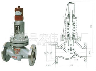 AH42F-P18 安全回流阀 安全阀厂家 铸钢安全阀
