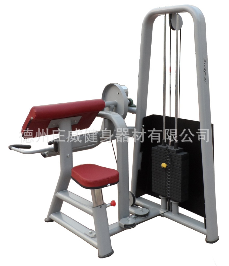 SM05 二頭肌訓練機副本