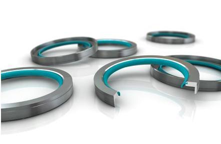 供应瑞典Trelleborg旋转密封件