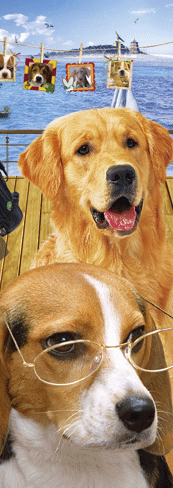 在找吗?这里是样品库,裱纸立体3D书签印刷生产厂